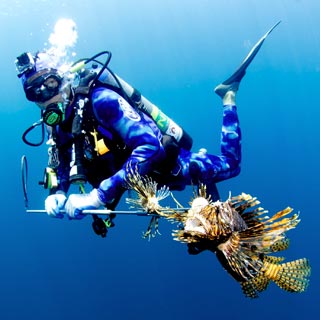 Cazador y Recolector Subacuático (Underwater Hunter and Collector)